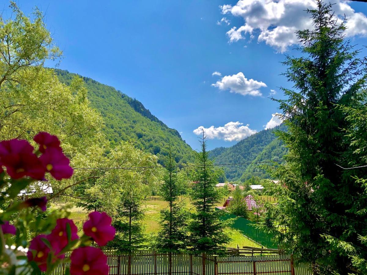 Vila Pelin Hotell Lepşa Exteriör bild