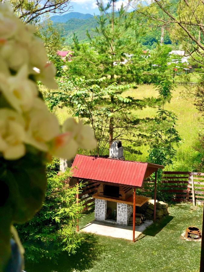 Vila Pelin Hotell Lepşa Exteriör bild